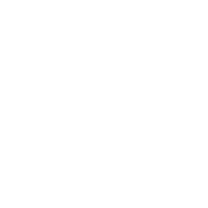World Icon